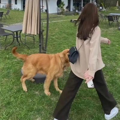 阿片战争海报